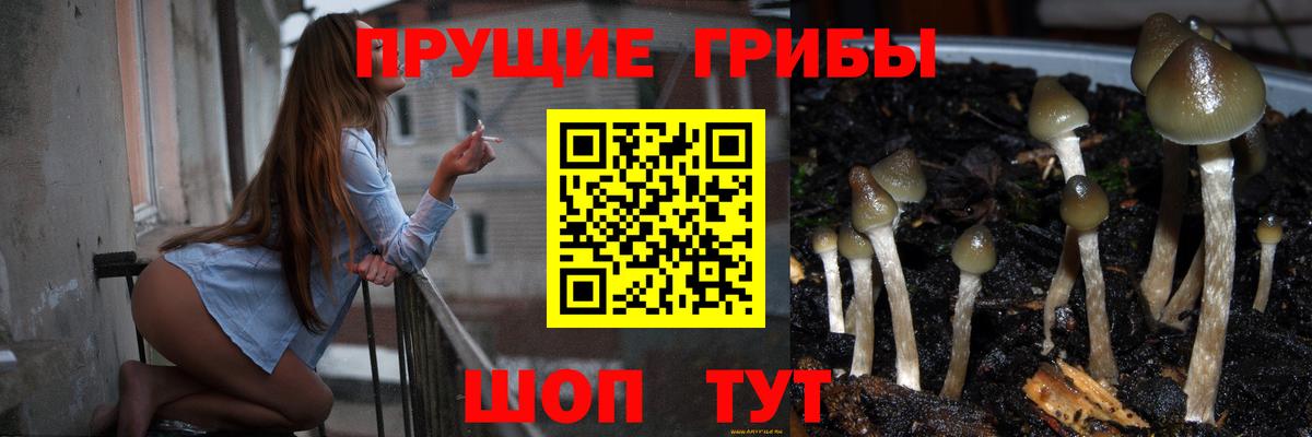 Псилоцибиновые грибы Cubensis  Вход с VPN  магазин    Галлюциногенные грибы ЛСД  Калининград 